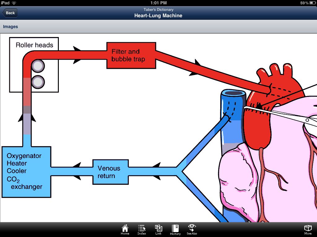 iPad screenshot - Taber's Medical Dictionary