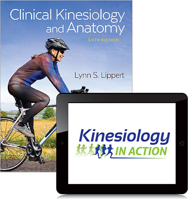 Kinesiology In Action