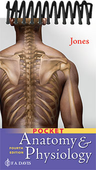 Pocket Anatomy & Physiology, 4th Edition
